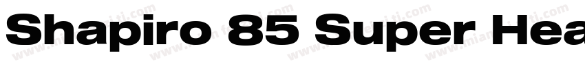 Shapiro 85 Super Hea字体转换